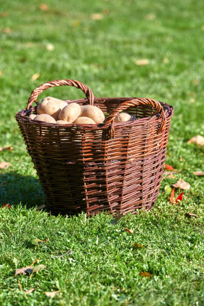 Wicker baskets in the garden - ideas for their use